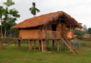 bamboo architecture Northeast India
